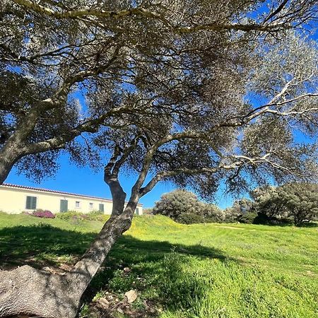 La Striscia Larga Bed & Breakfast San Pasquale Luaran gambar