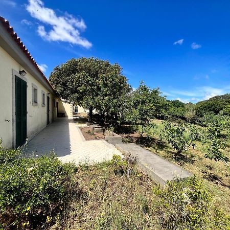 La Striscia Larga Bed & Breakfast San Pasquale Luaran gambar