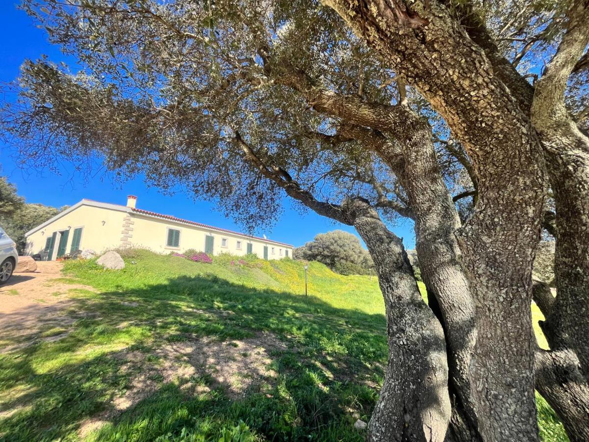 La Striscia Larga Bed & Breakfast San Pasquale Luaran gambar