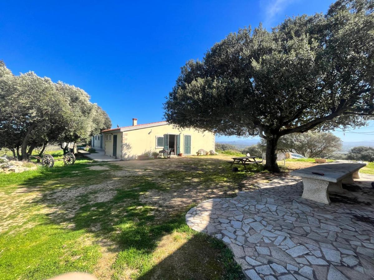 La Striscia Larga Bed & Breakfast San Pasquale Luaran gambar
