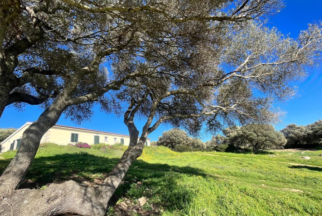La Striscia Larga Bed & Breakfast San Pasquale Luaran gambar