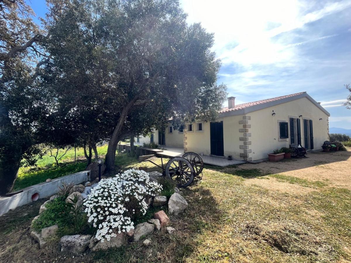 La Striscia Larga Bed & Breakfast San Pasquale Luaran gambar
