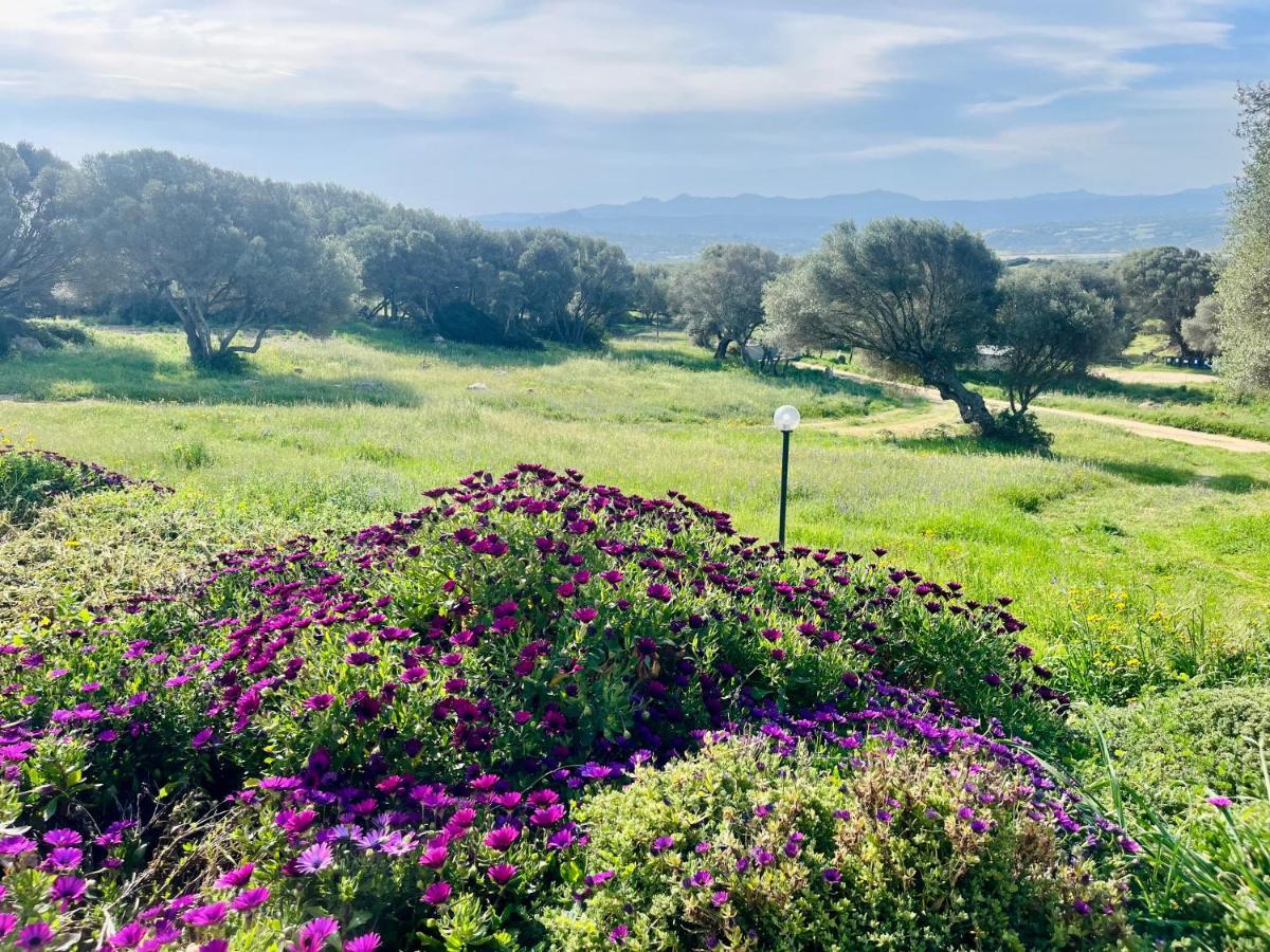 La Striscia Larga Bed & Breakfast San Pasquale Luaran gambar