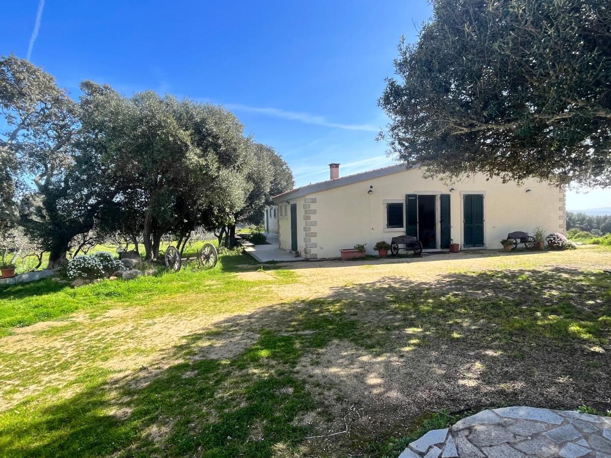 La Striscia Larga Bed & Breakfast San Pasquale Luaran gambar